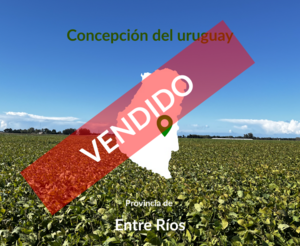 Campo Mixto. Venta. C. Del Uruguay. Entre Ríos. 700 Has