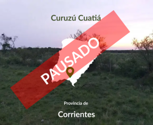 Campo Venta 1200 Hectáreas Curuzú Cuatiá, Corrientes.