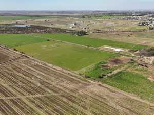 Campo Venta Santo Tomé, Santa Fe. Zona Countries. 54 Ha