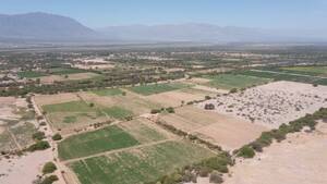 Campoo Vitivinicola - San Carlos 1161 ha