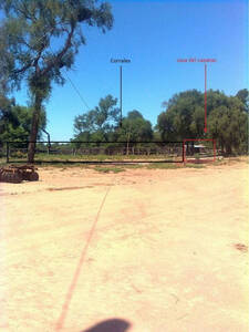 Vendo Campo En Chaco Castelli 750 Has Dolares Oficiales