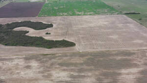 Vendo Campo En Chaco Hermoso Campo Al Sur Este 400 Has