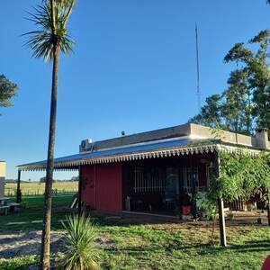 Chacra 7 Has.- Saladillo Provincia De Buenos Aires