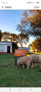 Chacra 2 ha con 3 casas