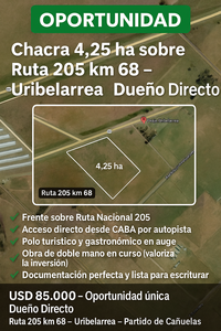 Chacra 4,25 Ha Sobre Ruta 205 Km 68 Uribelarrea