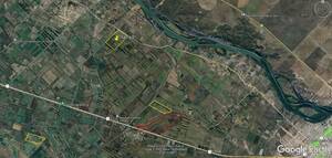 Campo en Venta Agricola 54 Has Viedma, Río Negro