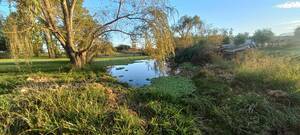Chacra De 1,9 Hectareas