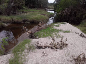 Chacra De 9 Hectareas