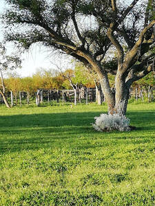 Chacra De 13 Hectareas