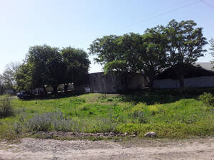 Chacra De 6 Hectareas
