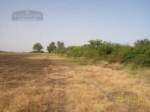 Campo en Venta 50 has Magdalena