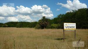 Chacra En Venta. 6 Has. Sobre Asfalto. Ranchos. Bs. As.