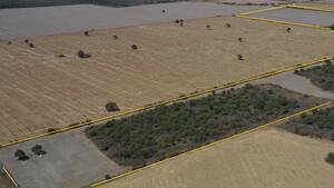 Vendo Campo En Cordoba Chalacea 100 Has