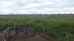 Chiriguanos - 2000 Ha - Formosa