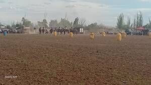 Compro campo