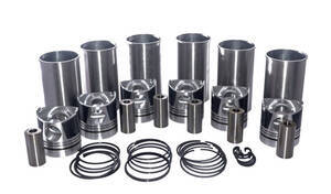 Conjunto Motor Weichai Wp6