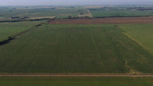 Vendo Campo En Cordoba Los Surgentes Agrícola 62 Has