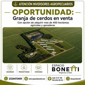 Destacada Granja Porcina a la venta
