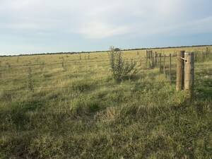 Devoto Buen Campo