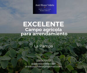 Disponemos De Campos Agrícolas Para Arrendar