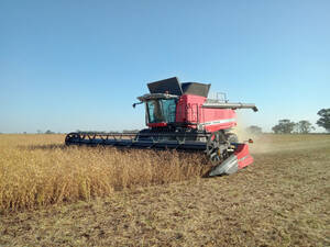 Cosechadoras Massey Ferguson Axiales 96 97 Y 9895