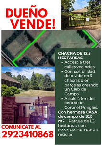 Dueño Vende Chacra De 12,5 Has En Coronel Pringles