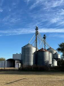Dueño Vende Planta de Acopio de Granos Habilitada Ruca/sisa