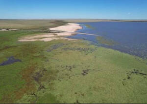 Estancia Campo 14000 Hectareas Corrientes