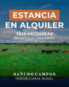Estancia En Alquiler, 7.827 Ha.