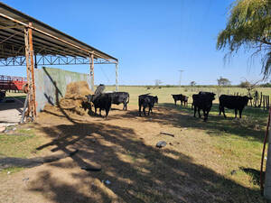Estancia Ganadera San Luis 22000 Has