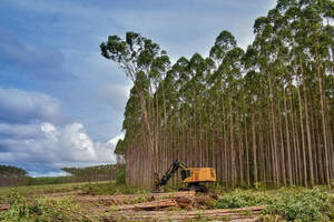 Excelente Campo En Nea Fraccionable Y Negociable