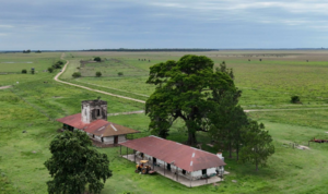 Excelente Campo Ganadero - Forestal En Saladas, Ctes.
