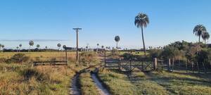 Excelente campo mixto 4200 has