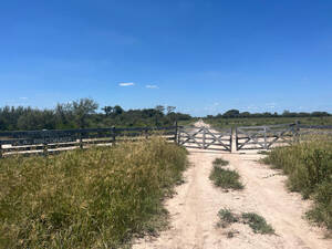 Excelente Campo Mixto