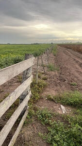 Excelente Fraccion De Campo - 34.5 Hectareas Arrecifes