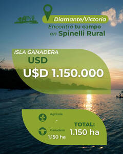 Excelente Isla En Venta