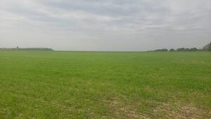 Exelente Campo Mixto