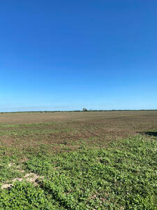Exelente Campo Mixto En Soledad