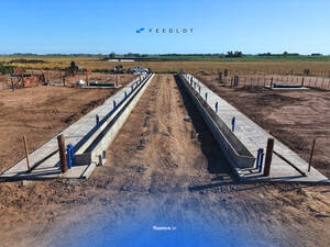 Feedlot Llave En Mano