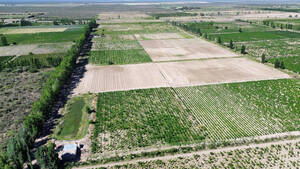 Finca 120 Ha Con Doble Frente Sobre Ruta 7, Las Catitas