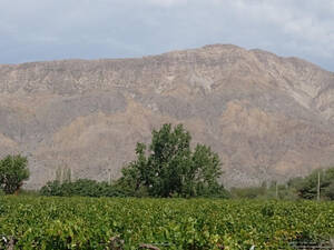 Finca 6,3 Hectareas En Zonda Prov. De San Jan
