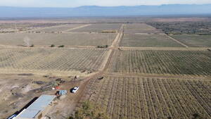 Finca de 59ha en Ruta N° 40 Capdevilla Derecho de Riego