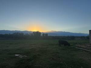Finca en Chilecito - San Carlos - Mendoza 
