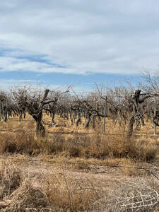 Finca En San Martin Montecasero