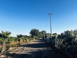 Finca En Venta, Capdevilla, La Ripiera, Mendoza
