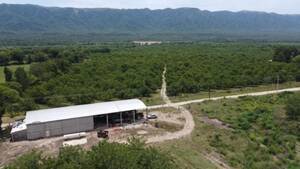 FINCA NOGALERA EN VENTA – 105,82 HAS – MONTE POTRERO, PACLÍN, CATAMARCA