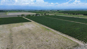 Finca Villa Seca 23.8Ha Con Malbec Y Sup Para Chacra