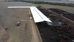 Galpón para Feed Lot