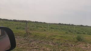 Vendo Campo Santa Fe En Gato Colorado,1.700 Ganaderas