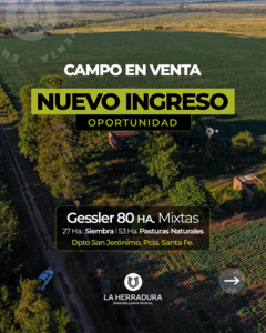 Gessler 80 Has Mixtas. Campo en Venta. Oportunidad